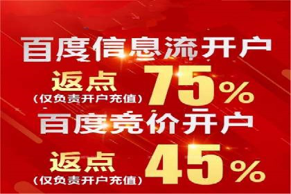 成功案例：一家初创企业如何通过百度关键词推广快速崛起